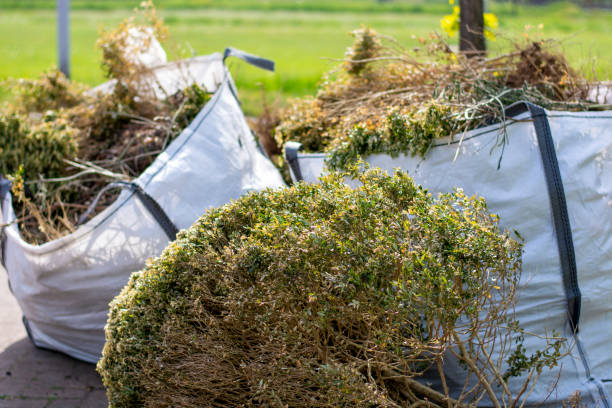 Best Electronics Removal Services  in Valley Hill, NC